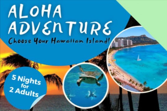 4 - Aloha Adventure